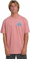 Colour: Ash Rose