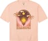 Colour: Soft Peach