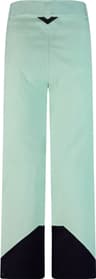 Colour: Light Green