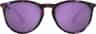 Colour: Rosemary Beach - Purple Tortoise - Violet Polarized