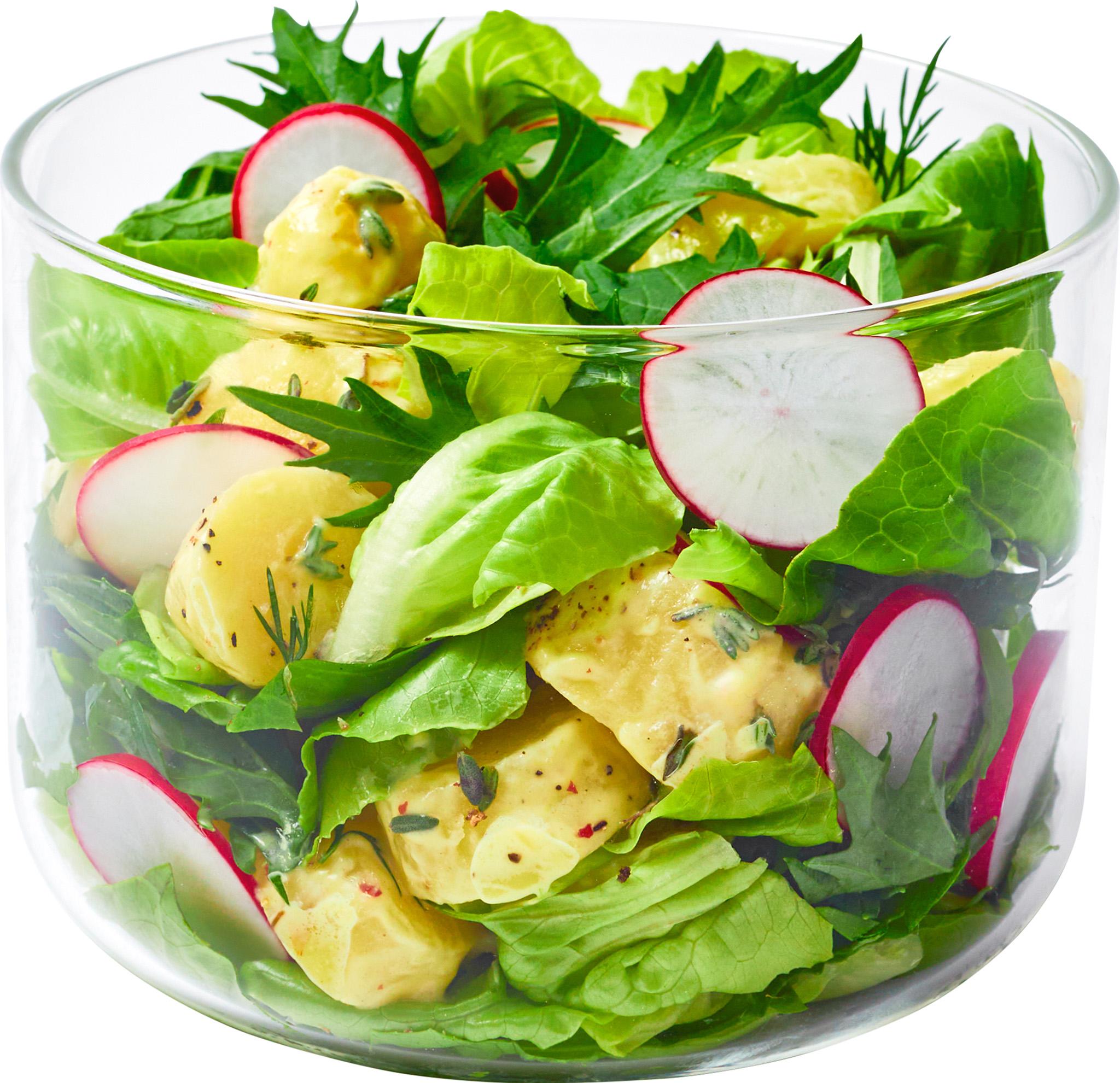 Product gallery image number 8 for product Glass Lunch Pot 600ml