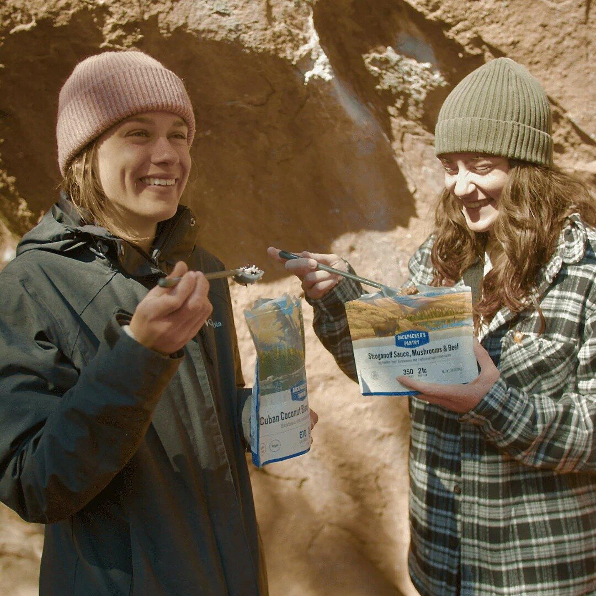 Numéro de l'image de la galerie de produits 2 pour le produit Sauce Stroganoff, champignons et bœuf