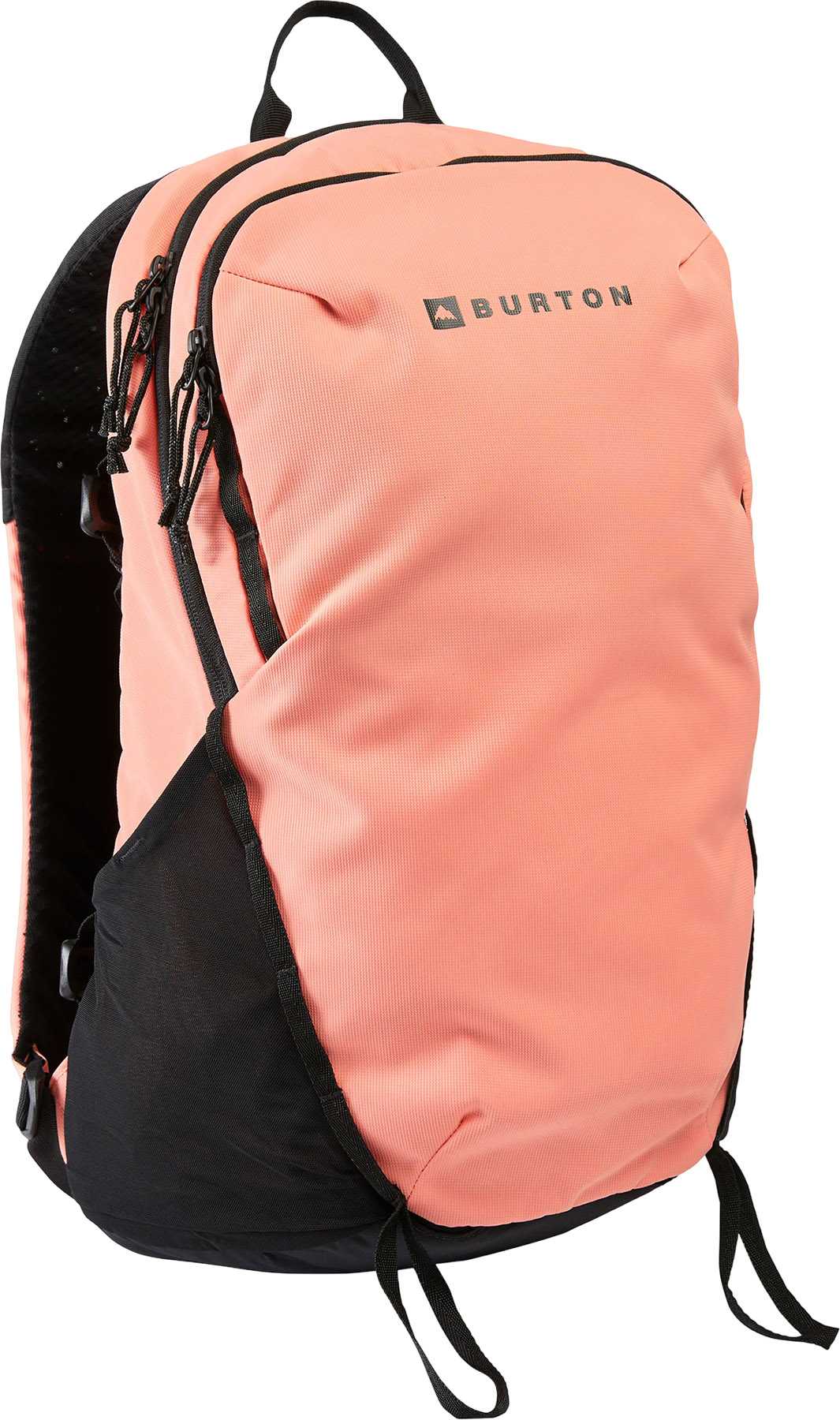 Sunrise Coral