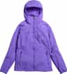 Couleur: Purple Voltage