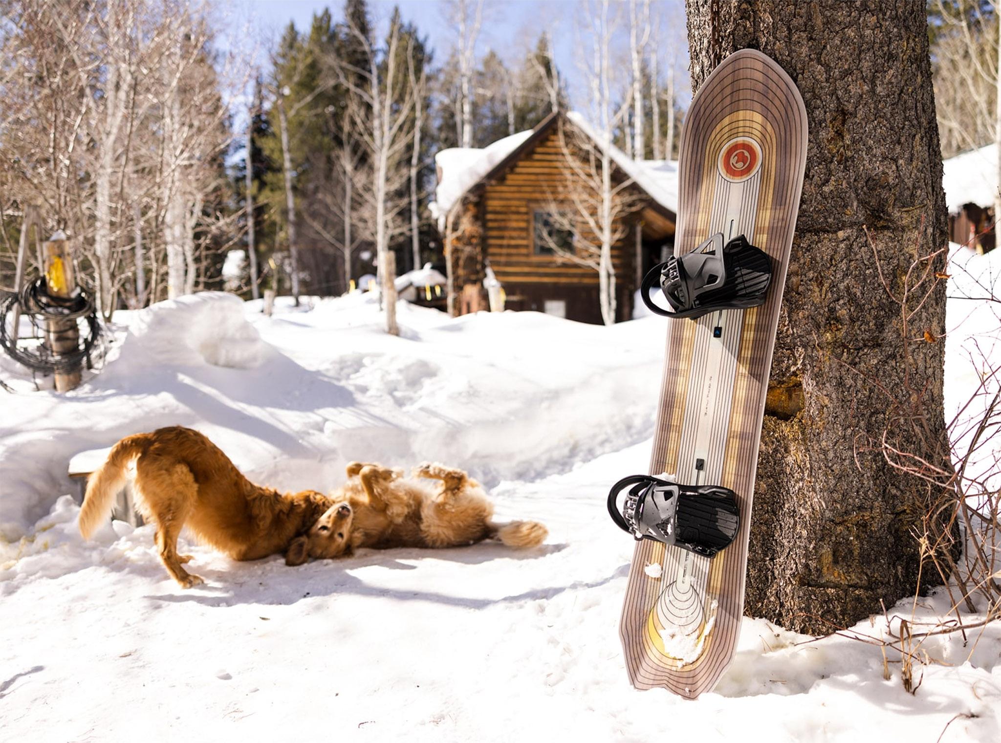 Product gallery image number 7 for product Fish 3D Directional Flat Top Snowboard - Unisex