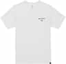 Colour: Stout White