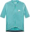 Colour: Cold Dye Dark Sea