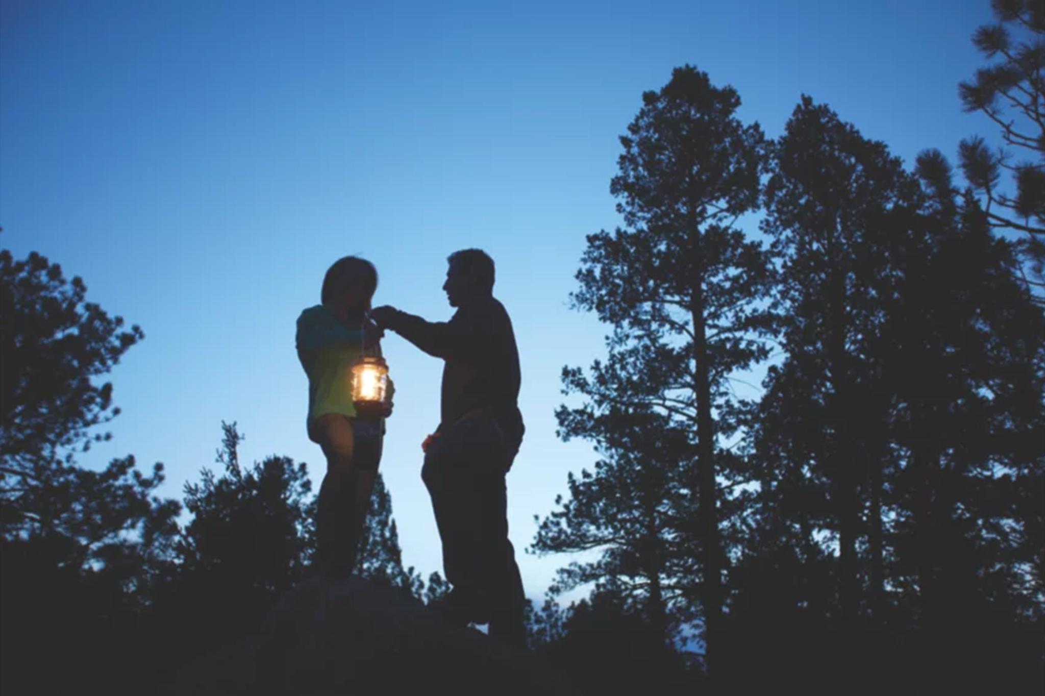 Product gallery image number 11 for product Northstar Propane Lantern with Case