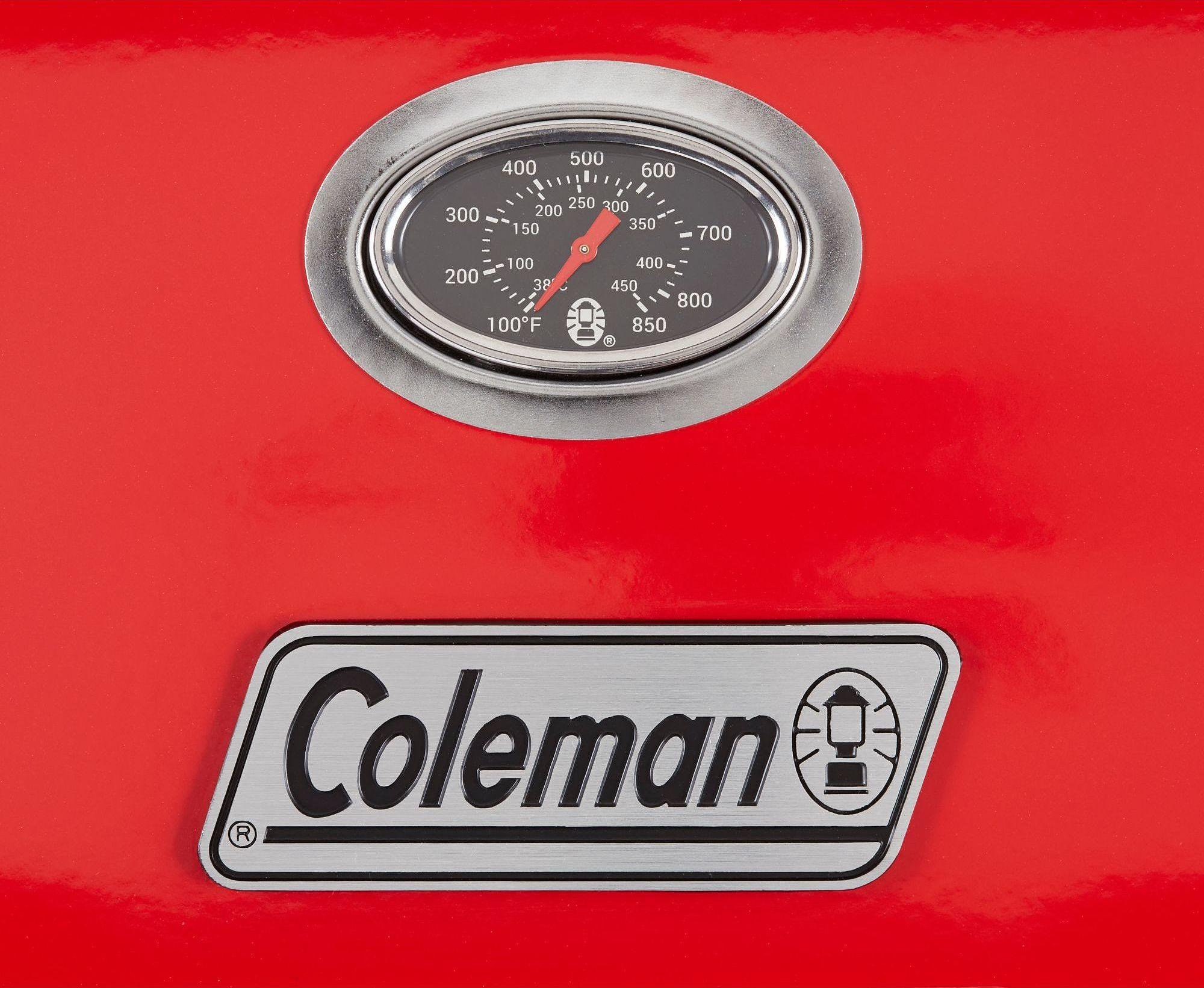 Product gallery image number 9 for product RoadTrip Stand-Up 285 Grill