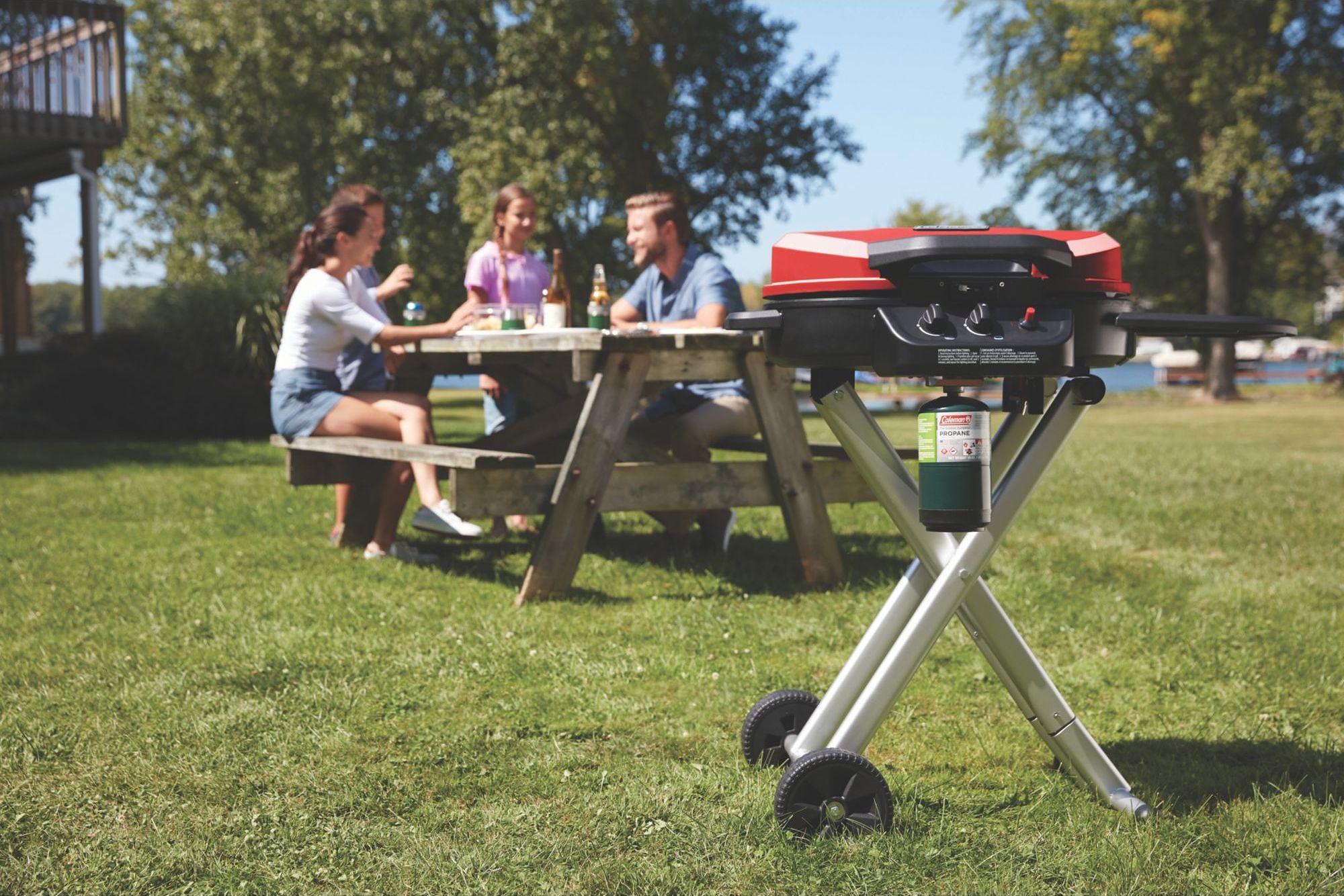 Product gallery image number 3 for product RoadTrip Stand-Up 225 Grill