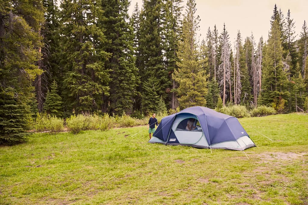 Product gallery image number 6 for product Skydome Modified Dome Tent - 12-person