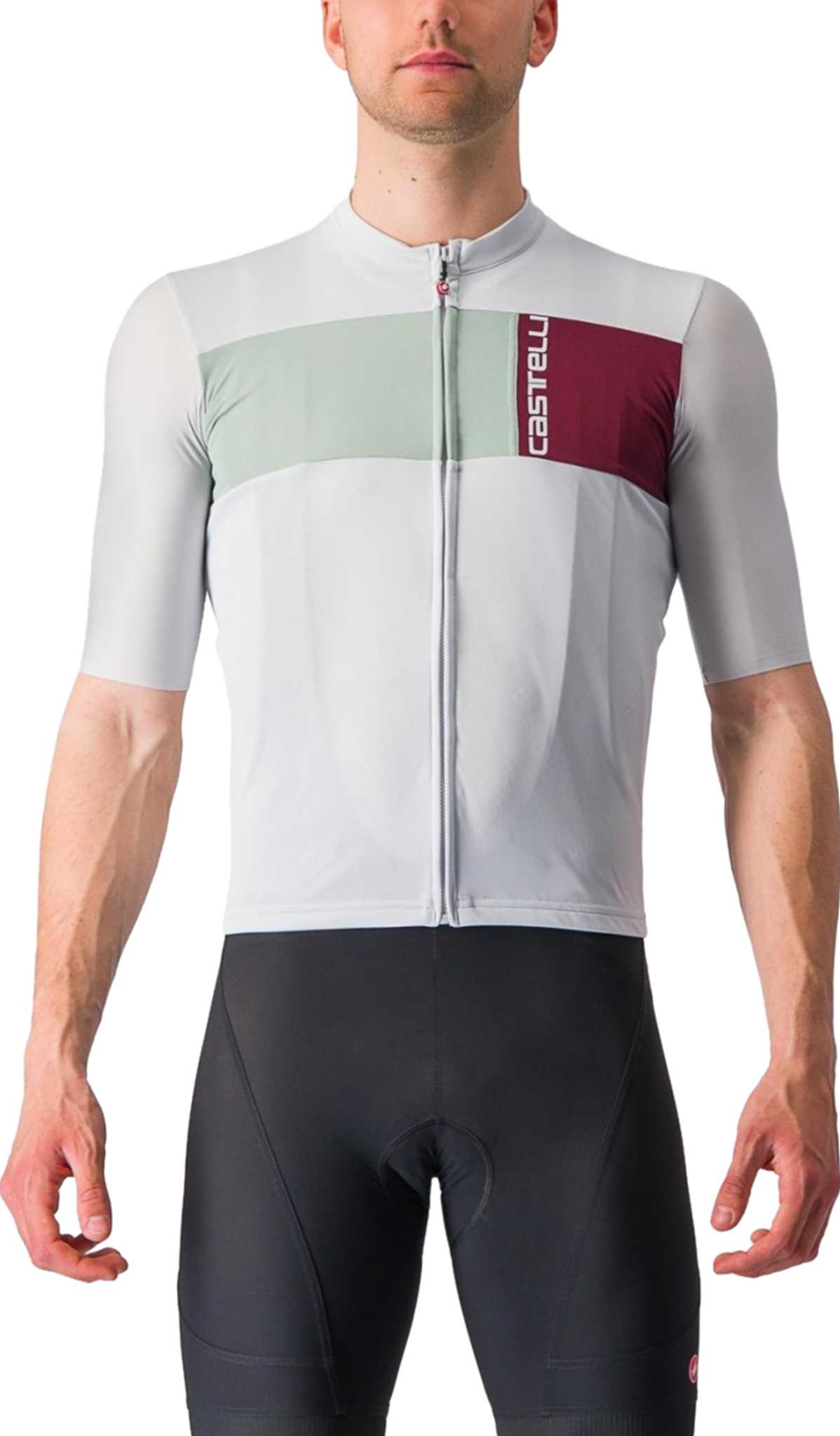 Silver Gray - Green - Bordeaux