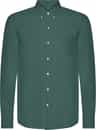 Colour: Emerald Green