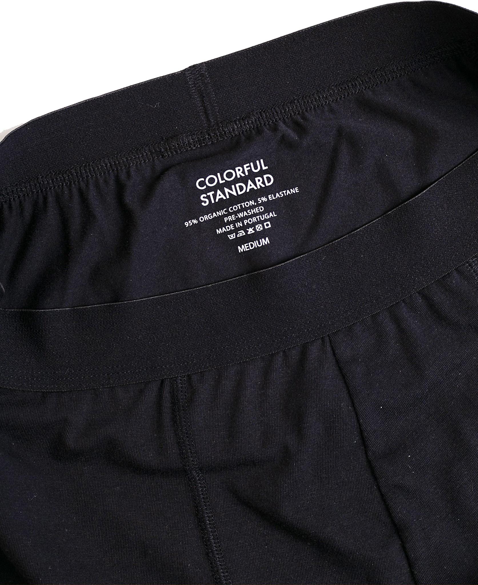 Product gallery image number 2 for product Classic Organic Boxer Briefs - Men's