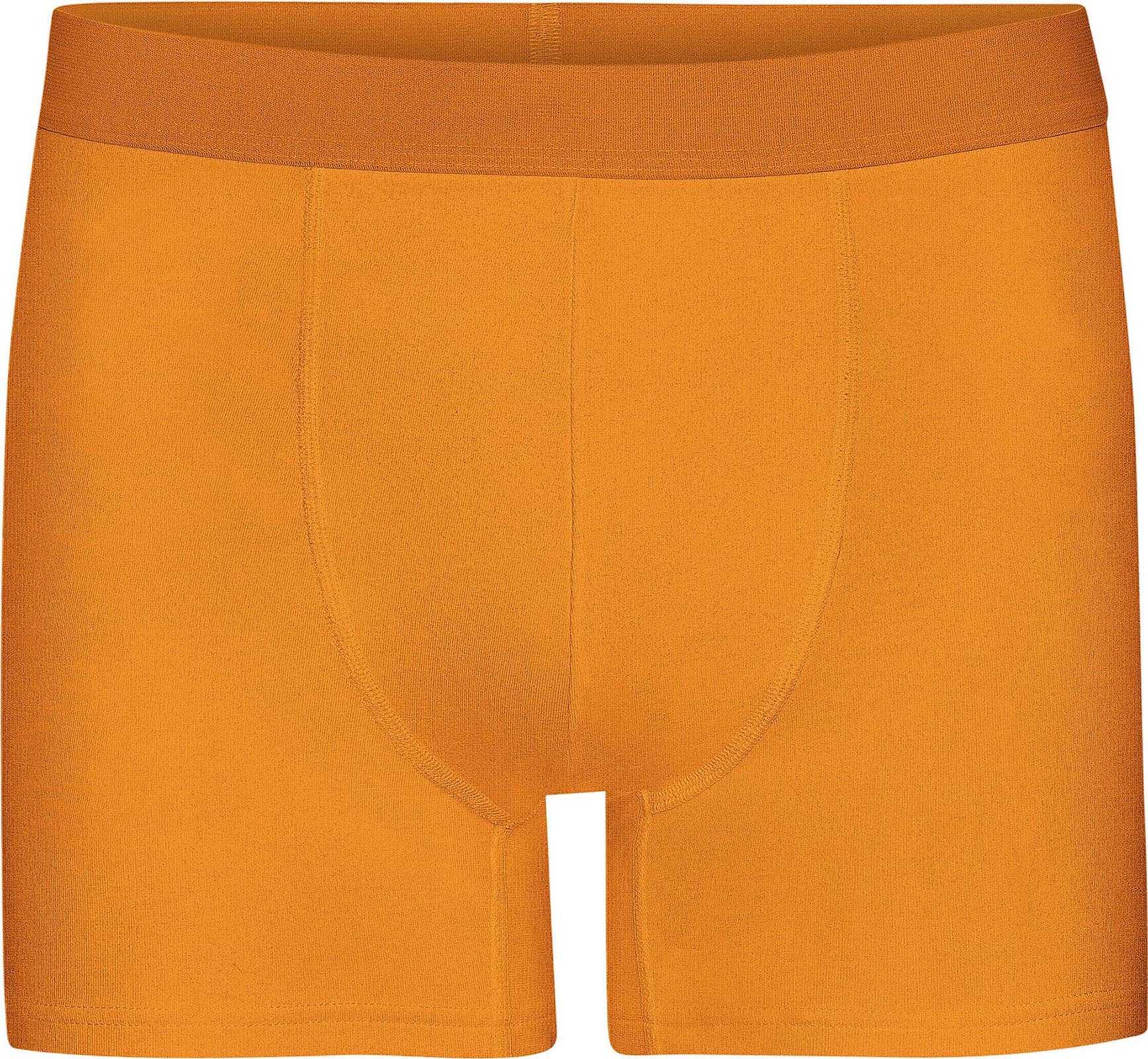 Sunny Orange