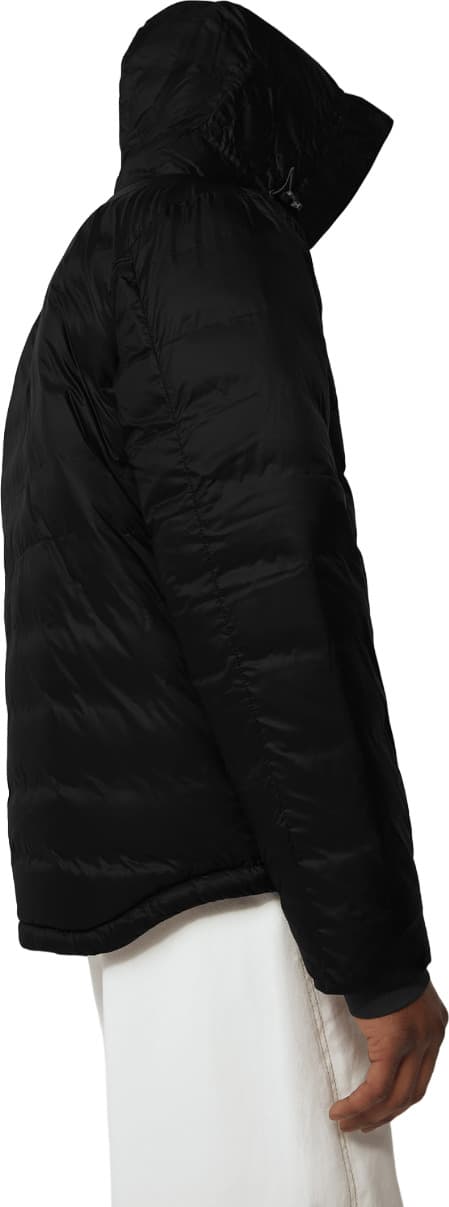 Numéro de l'image de la galerie de produits 3 pour le produit Manteau à capuchon en duvet Lodge Black Label - Homme
