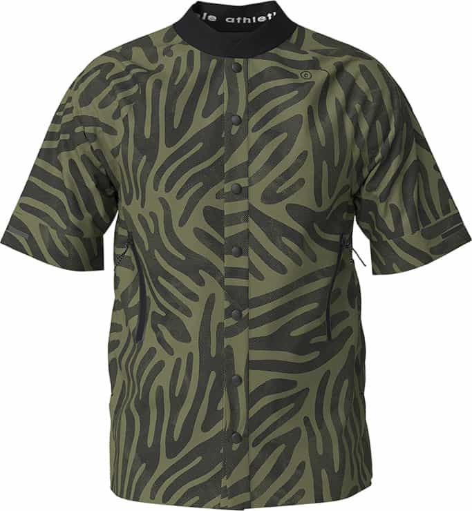 All Over Zebra Colt - Scout