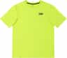 Colour: Gekko
