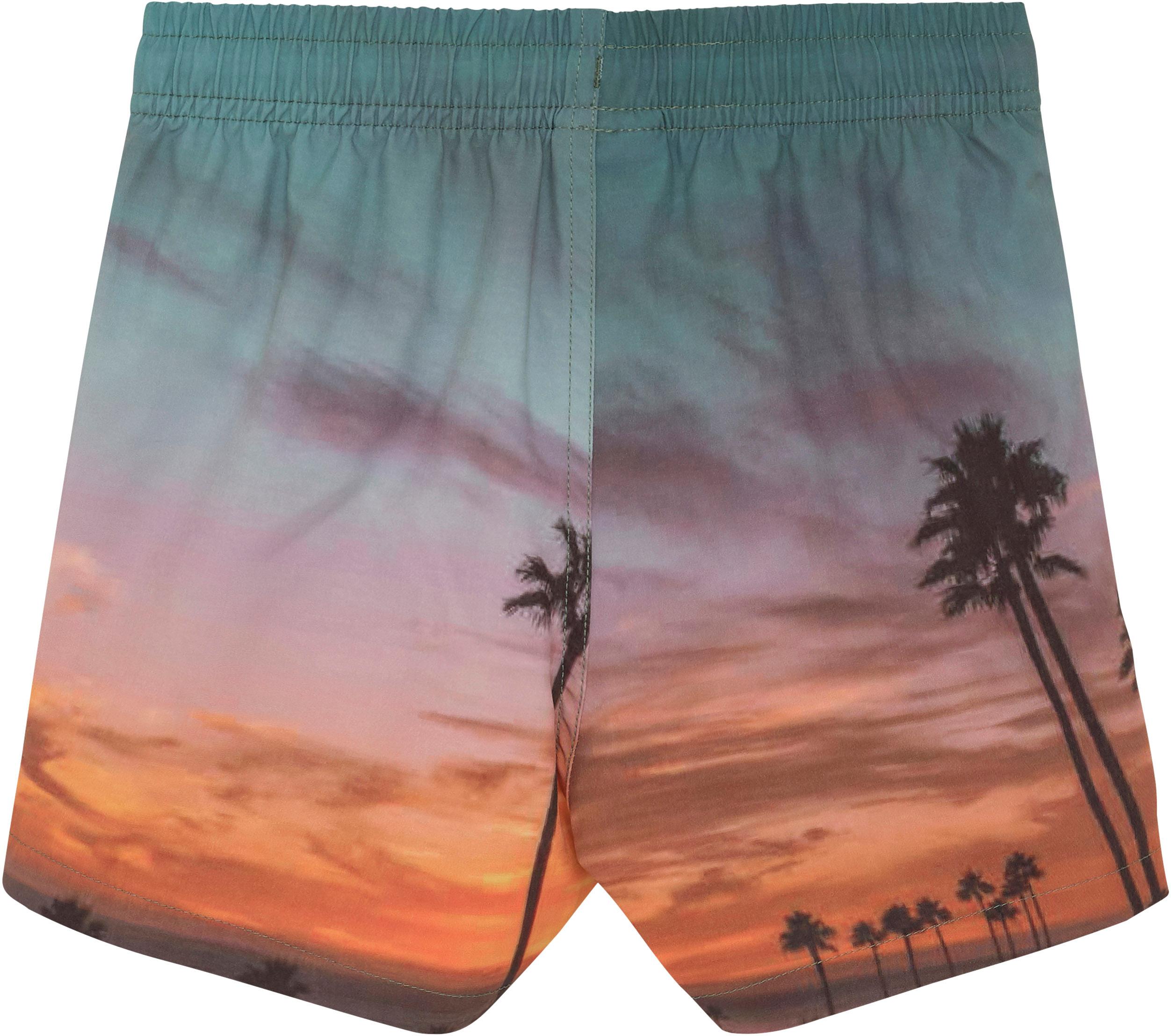 Product gallery image number 2 for product Swim Shorts - Youth