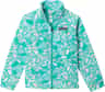 Colour: Dolphin Fly High