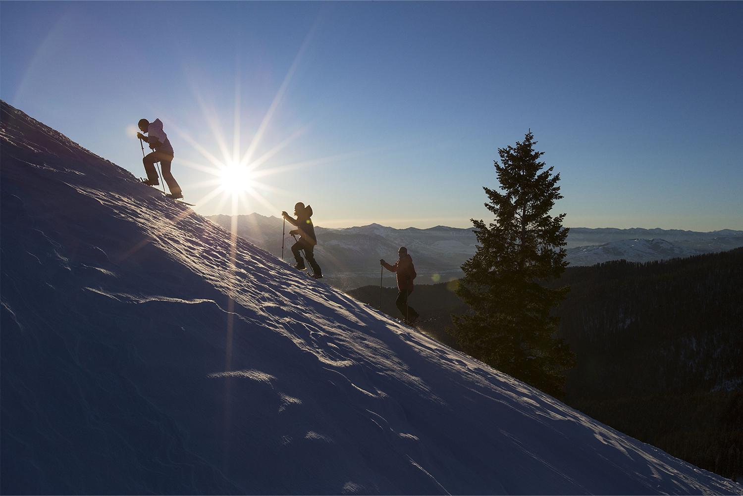 Product gallery image number 4 for product Heatzone 1000 Turbodown Hooded Jacket - Men's