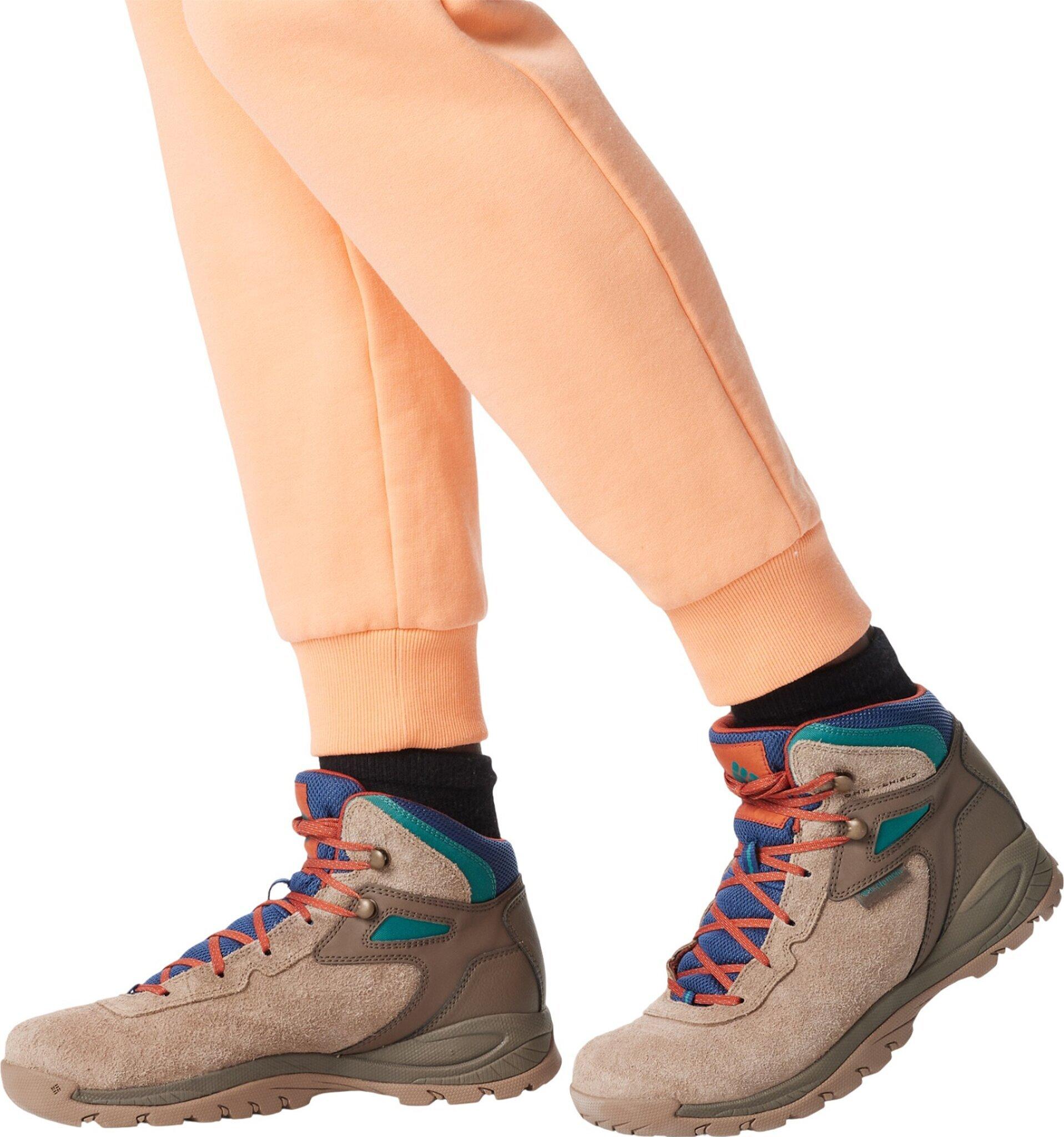 Numéro de l'image de la galerie de produits 6 pour le produit Bottes Newton Ridge BC - Homme