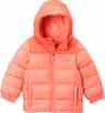 Colour: Hot Coral - Zing