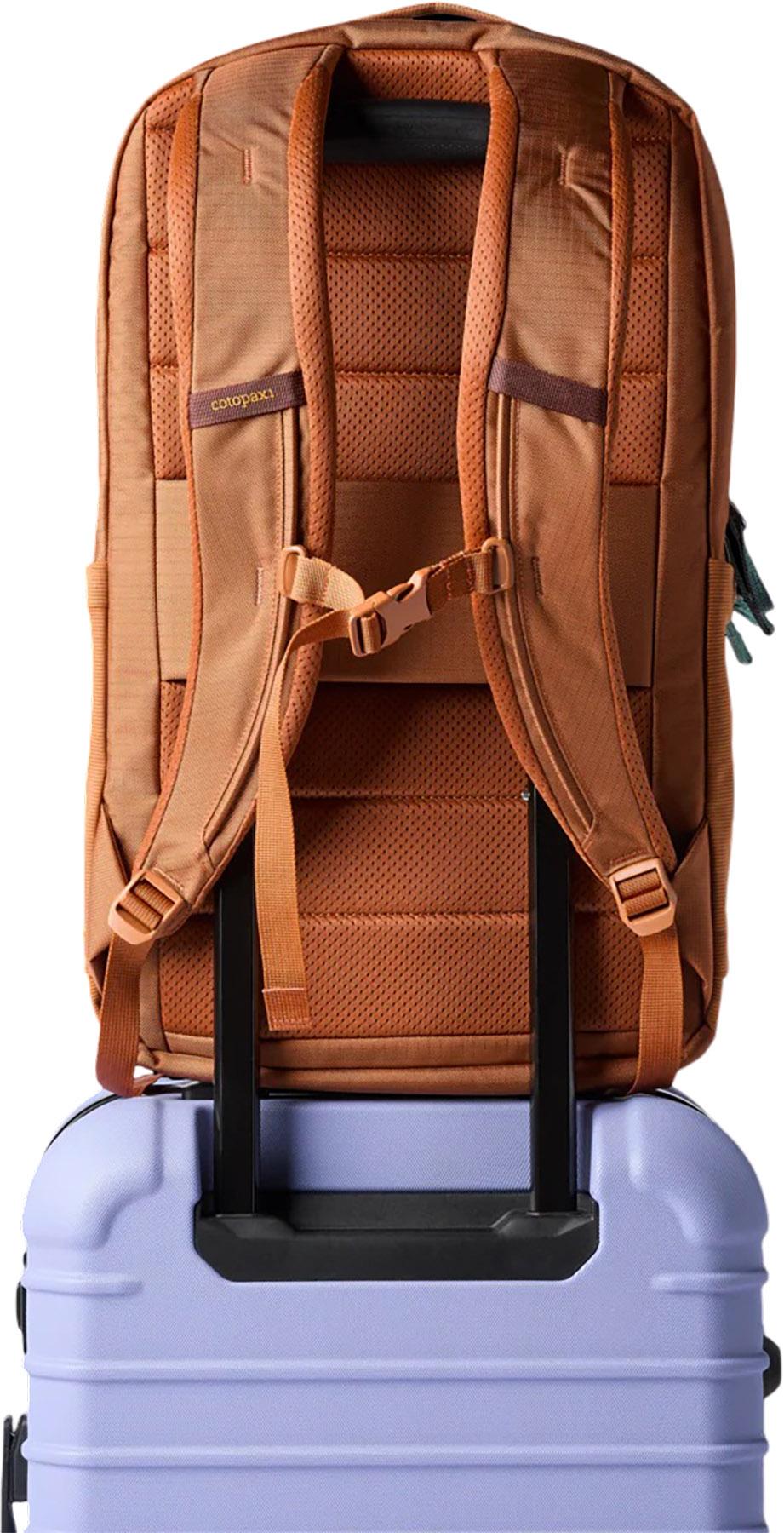 Product gallery image number 5 for product Allpa 26L Daypack - Unisex