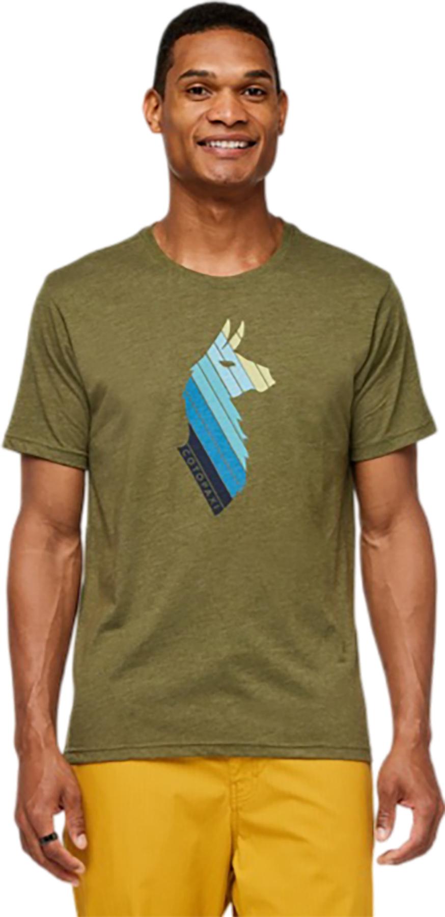 Product gallery image number 2 for product Llama Stripes T-Shirt - Men's