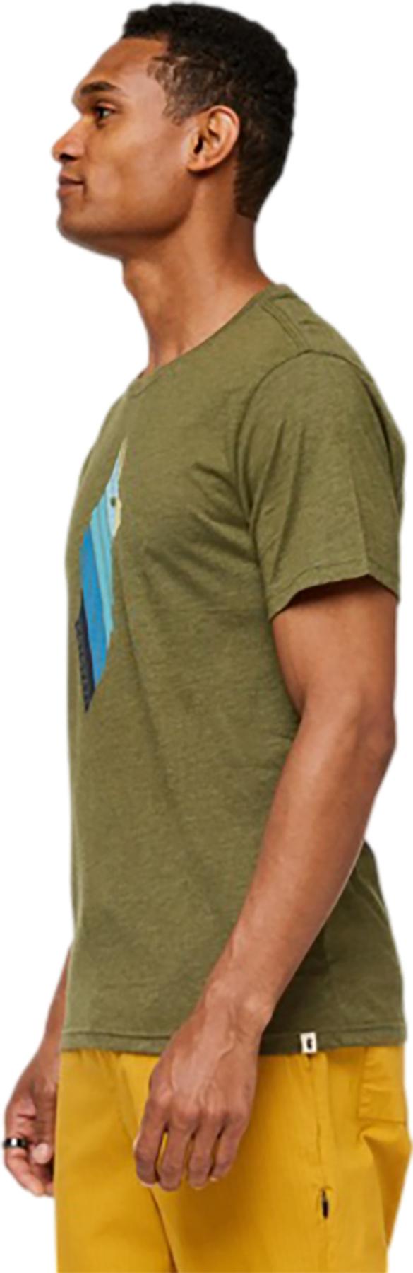 Product gallery image number 3 for product Llama Stripes T-Shirt - Men's