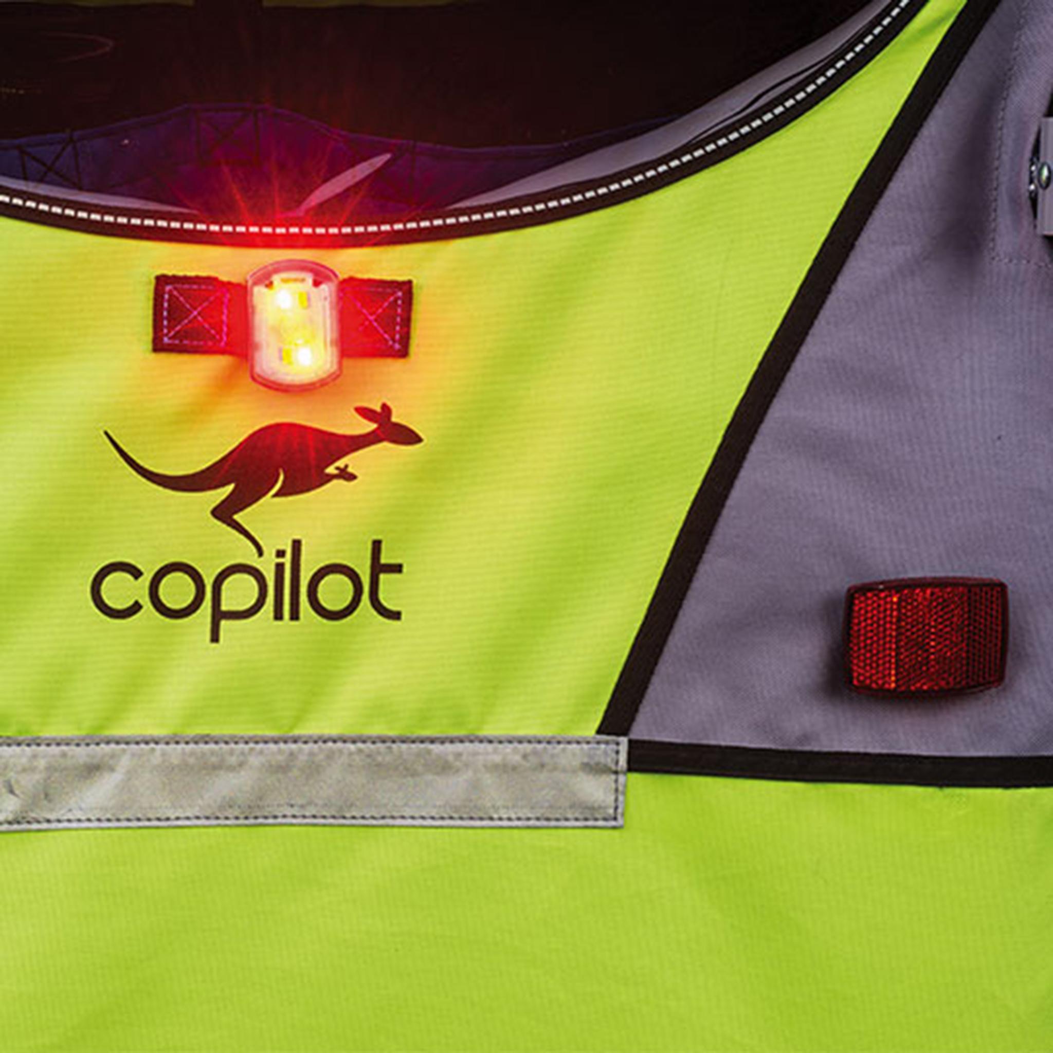 Product gallery image number 2 for product Model A Child Bicycle Trailer & Stroller Conversion Kit 