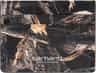 Couleur: Camo Feather Tree - Black - Silver