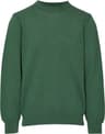 Colour: Duck Green