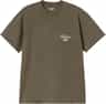 Colour: Cypress