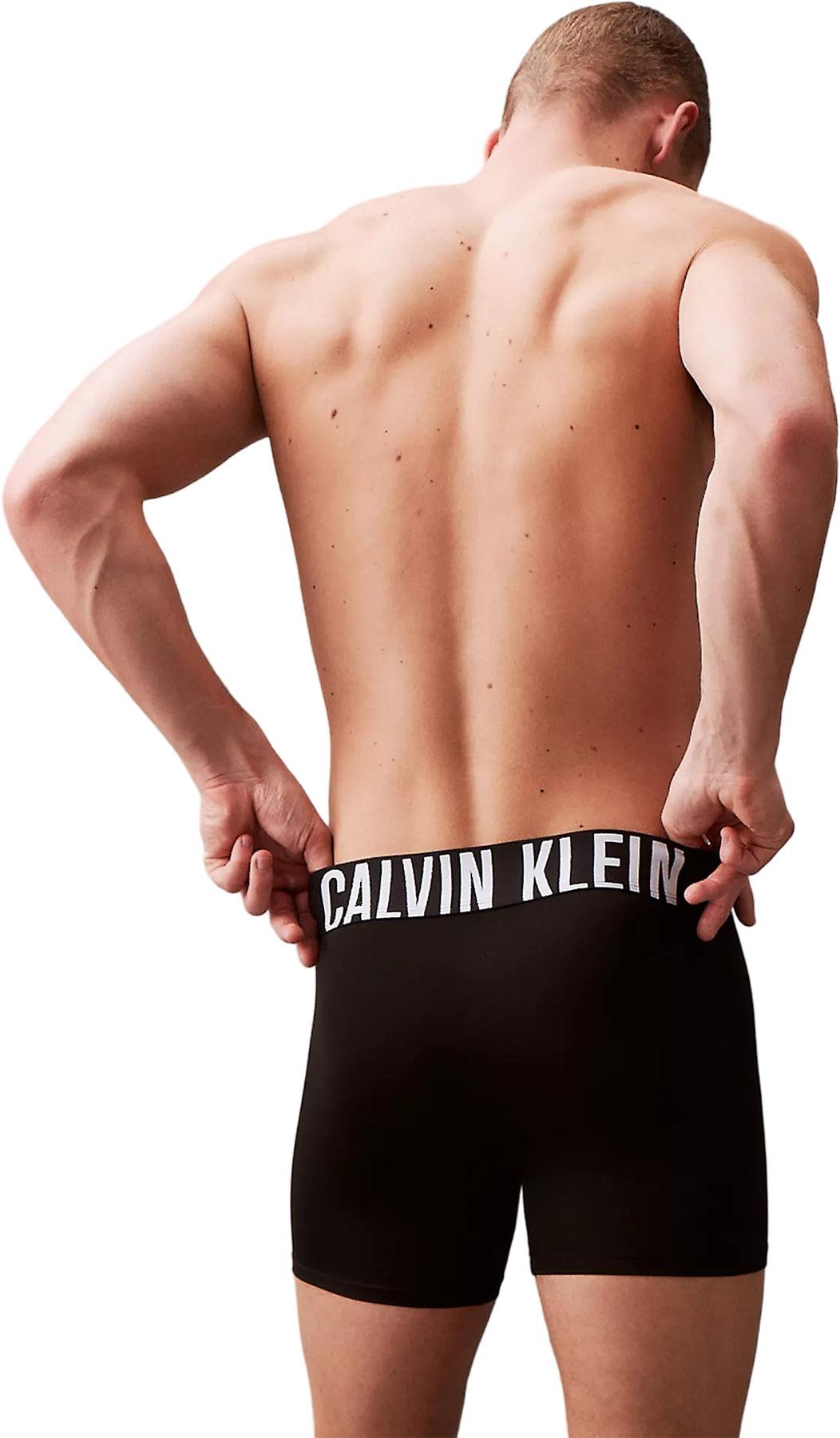 Product gallery image number 4 for product Intense Power Microfiber 3-Pack Boxer Briefs - Men's