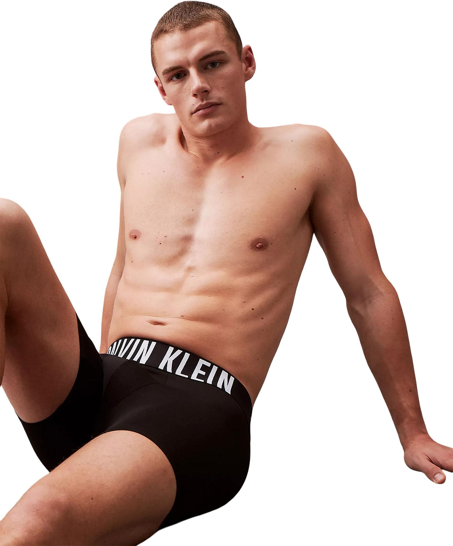 Product gallery image number 2 for product Intense Power Microfiber 3-Pack Boxer Briefs - Men's