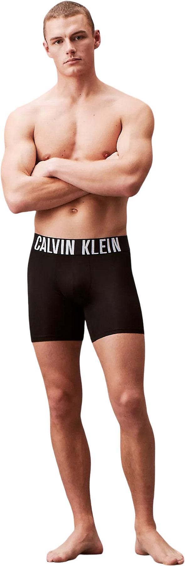 Product gallery image number 3 for product Intense Power Microfiber 3-Pack Boxer Briefs - Men's