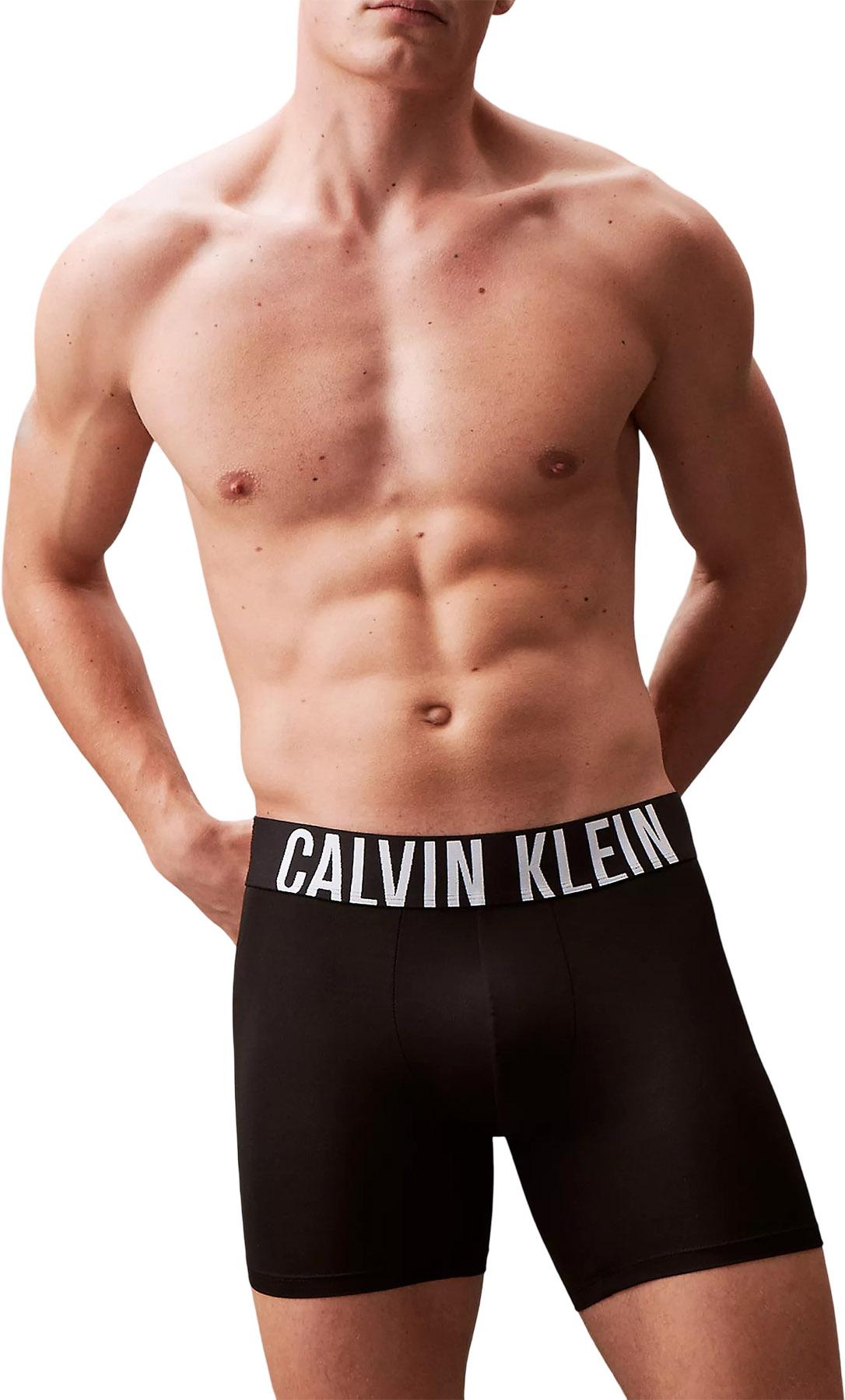 Product gallery image number 6 for product Intense Power Microfiber 3-Pack Boxer Briefs - Men's