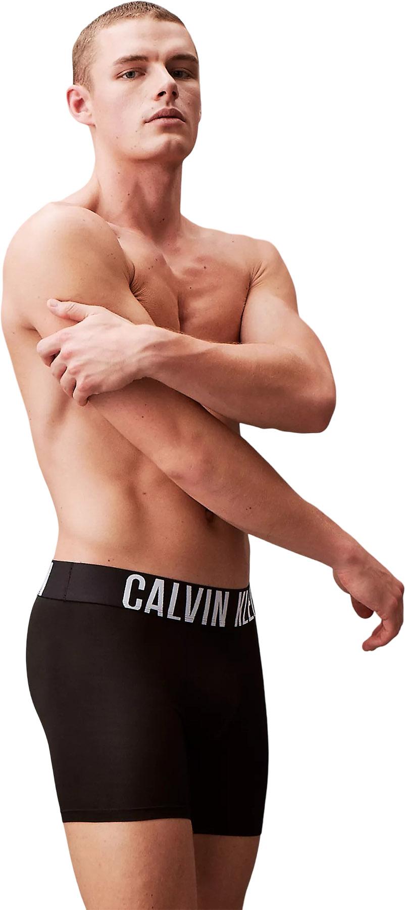 Product gallery image number 5 for product Intense Power Microfiber 3-Pack Boxer Briefs - Men's