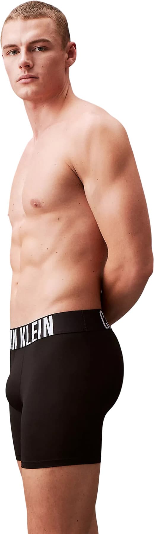 Product gallery image number 7 for product Intense Power Microfiber 3-Pack Boxer Briefs - Men's