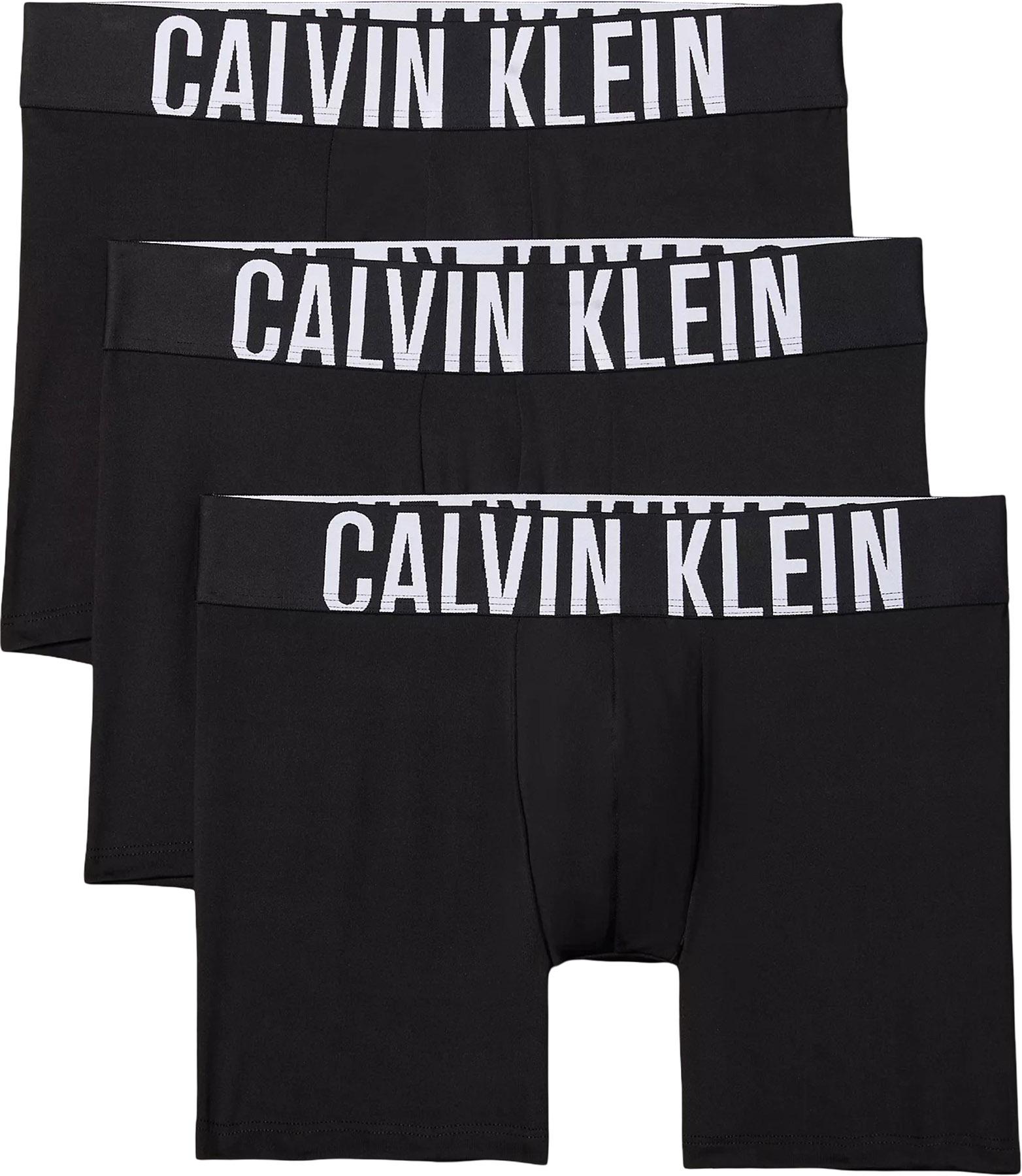 Product image for Intense Power Microfiber 3-Pack Boxer Briefs - Men's