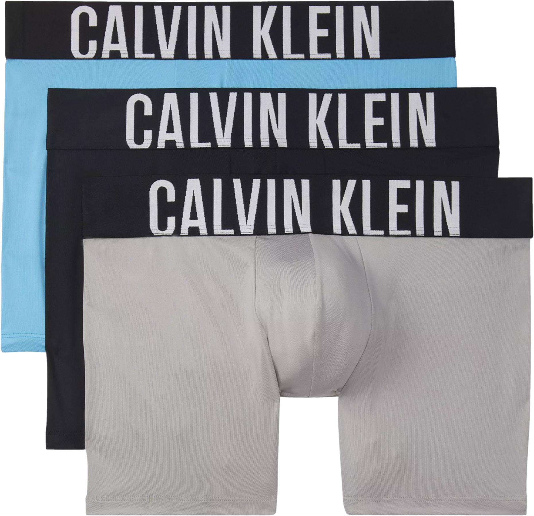 Product image for Intense Power Microfiber 3-Pack Boxer Briefs - Men's