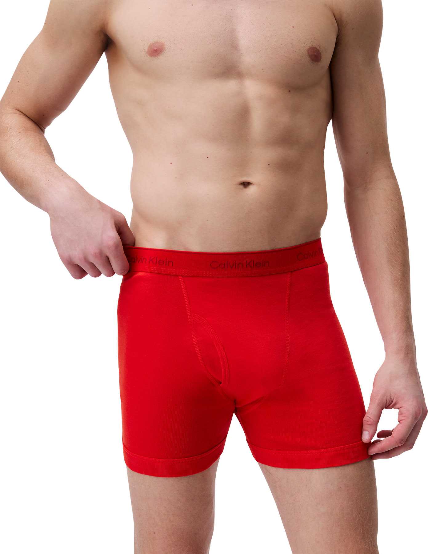 Product image for Cotton Classics 3 Pack Boxer Briefs - Men's