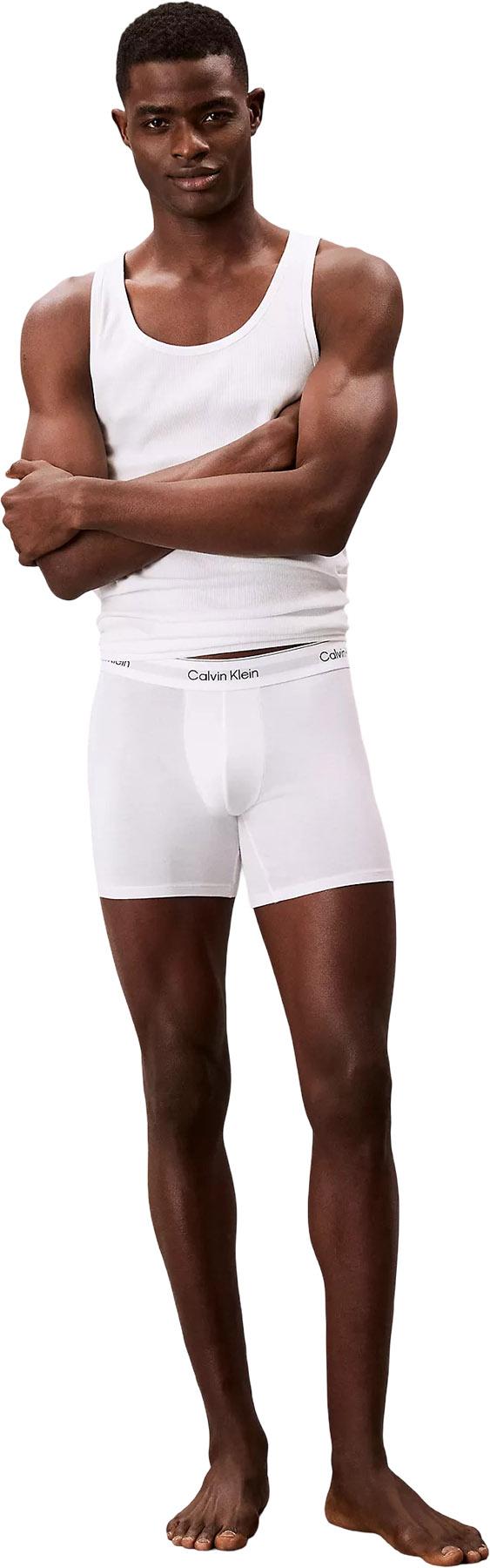 Product gallery image number 5 for product Cotton Classics 3-Pack Tank Top - Men's