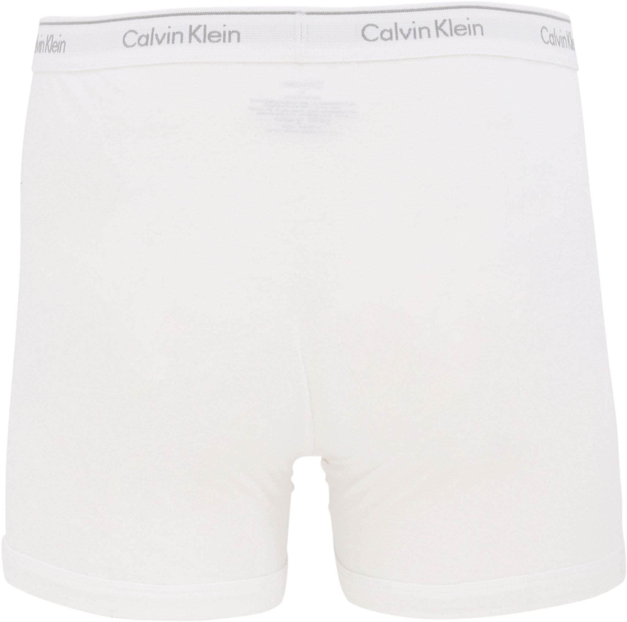 Numéro de l'image de la galerie de produits 2 pour le produit Boxeurs longs en coton Classics - Lot de 4 - Homme