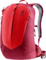 Colour: Cherry - Masala