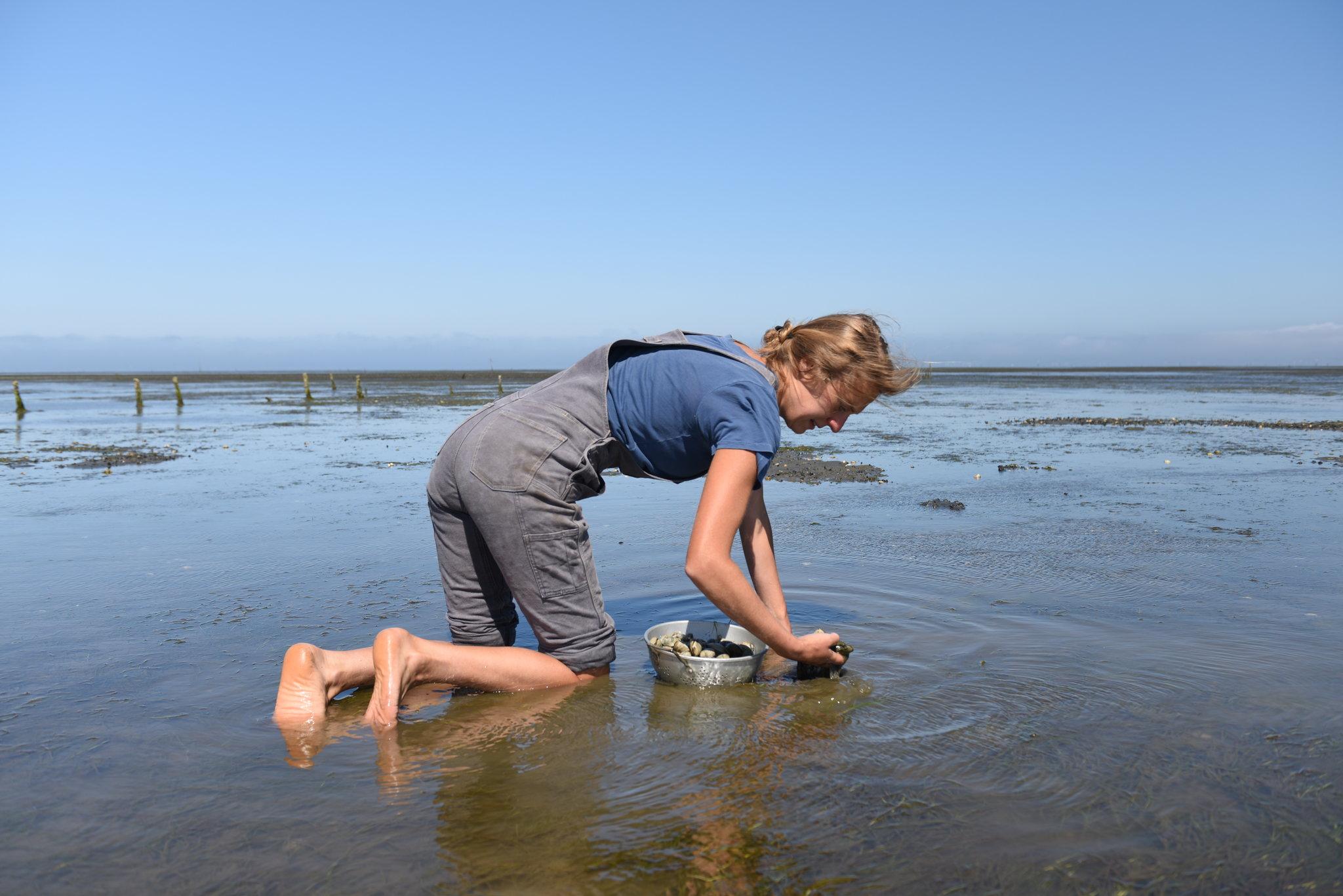 Product gallery image number 7 for product Freshley Overall Grey Stretch Canvas - Women's