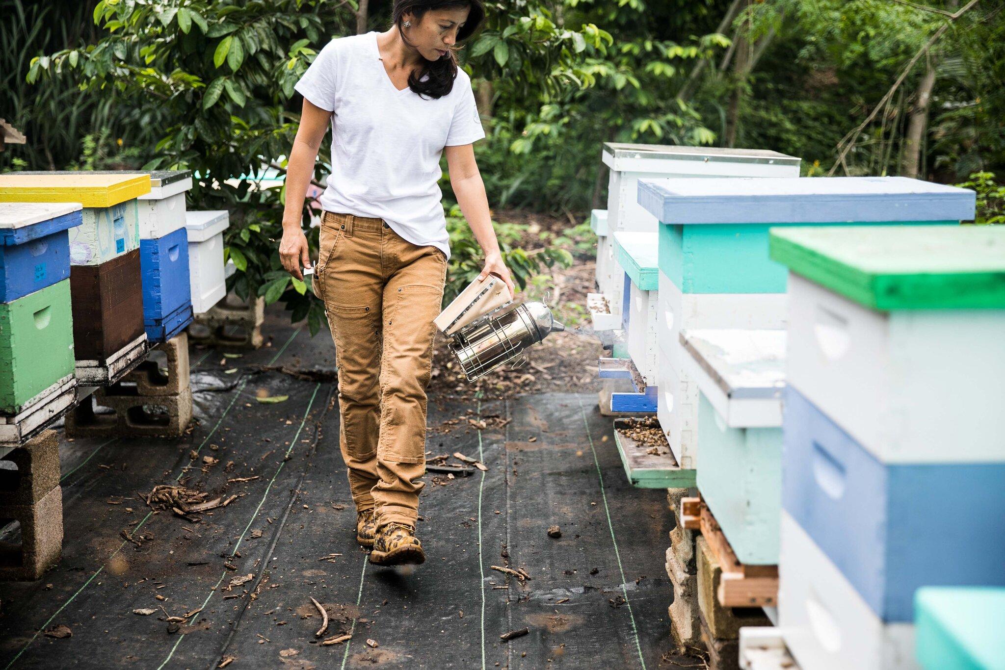 Product gallery image number 8 for product Maven X Slim Workpant - Women's