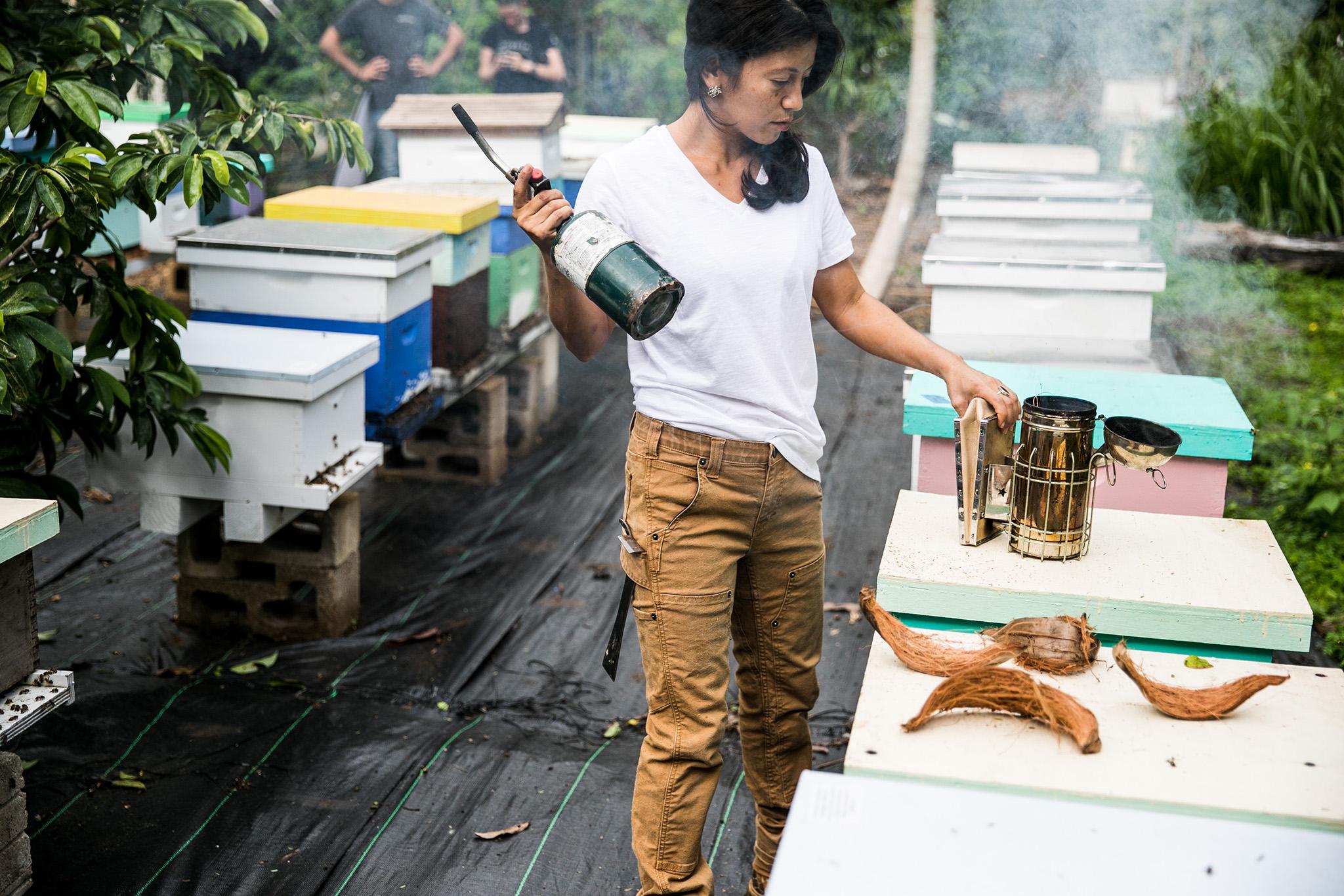 Product gallery image number 3 for product Maven X Slim Workpant - Women's