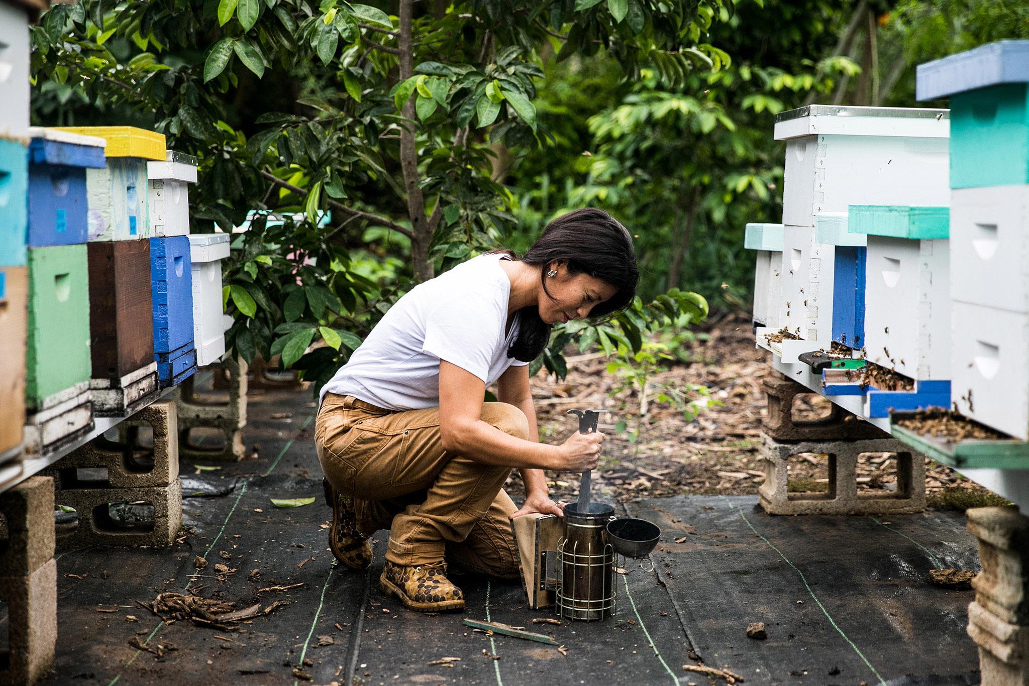 Product gallery image number 2 for product Maven X Slim Workpant - Women's
